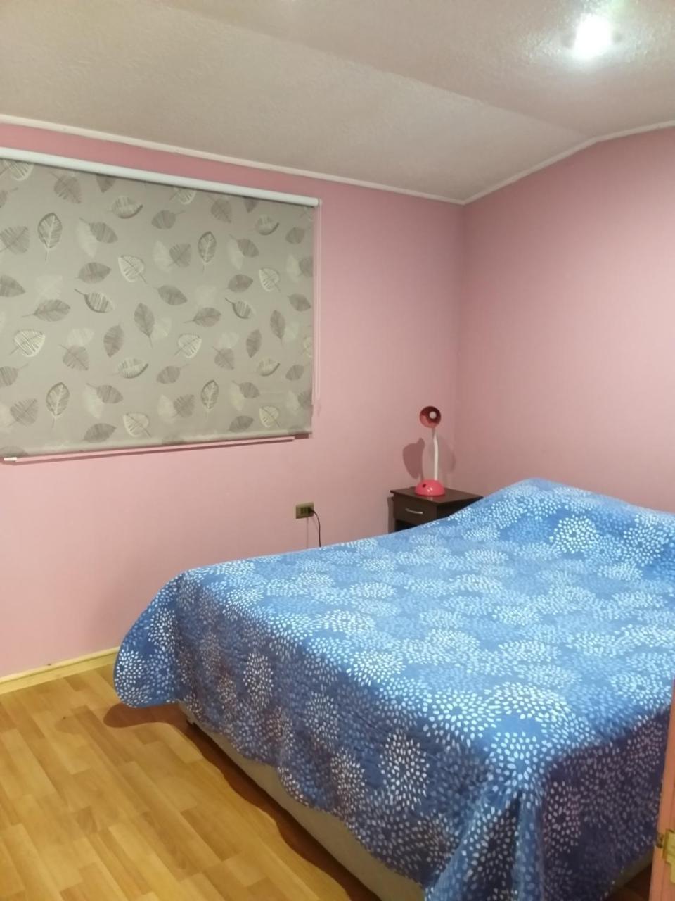 Cabanas Sur Del Mundo Daire Coyhaique Dış mekan fotoğraf